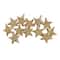 12ct. 5" Glitter & Matte Vegas Gold Shatterproof Christmas Star Ornaments